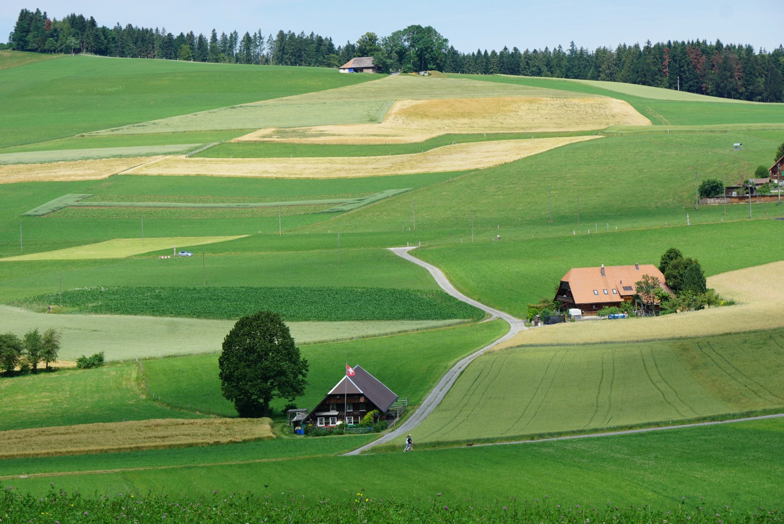 Entenda o Mercado Imobiliário Rural – Parte 2 (Understand The Real Estate Market Rural)
